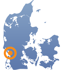 Transportnetværk Danmark og Europa